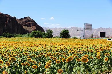 官方发布《彩虹六号：围攻》新干员Osa实机介绍视频 